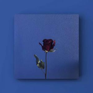 外国spankspankling网站gay
